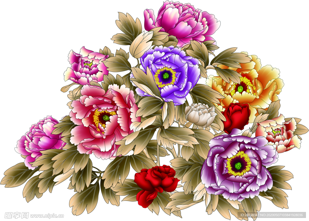 牡丹花