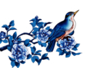 牡丹花