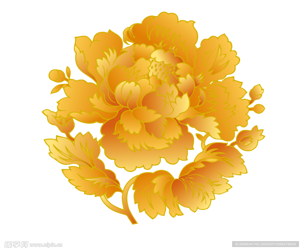 牡丹花