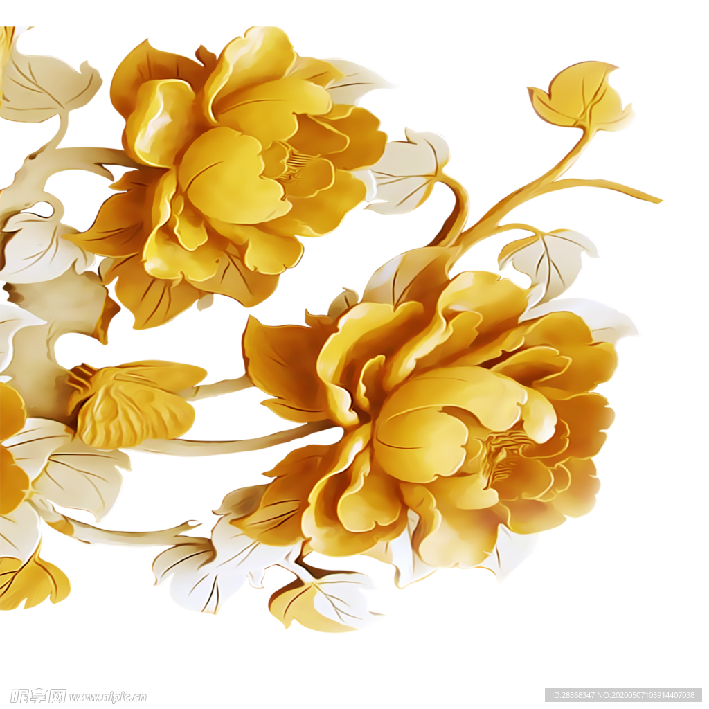 牡丹花