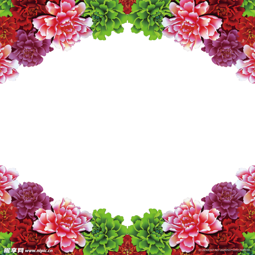 牡丹花