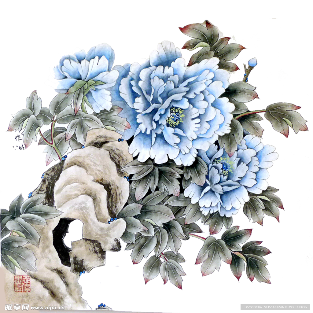 牡丹花