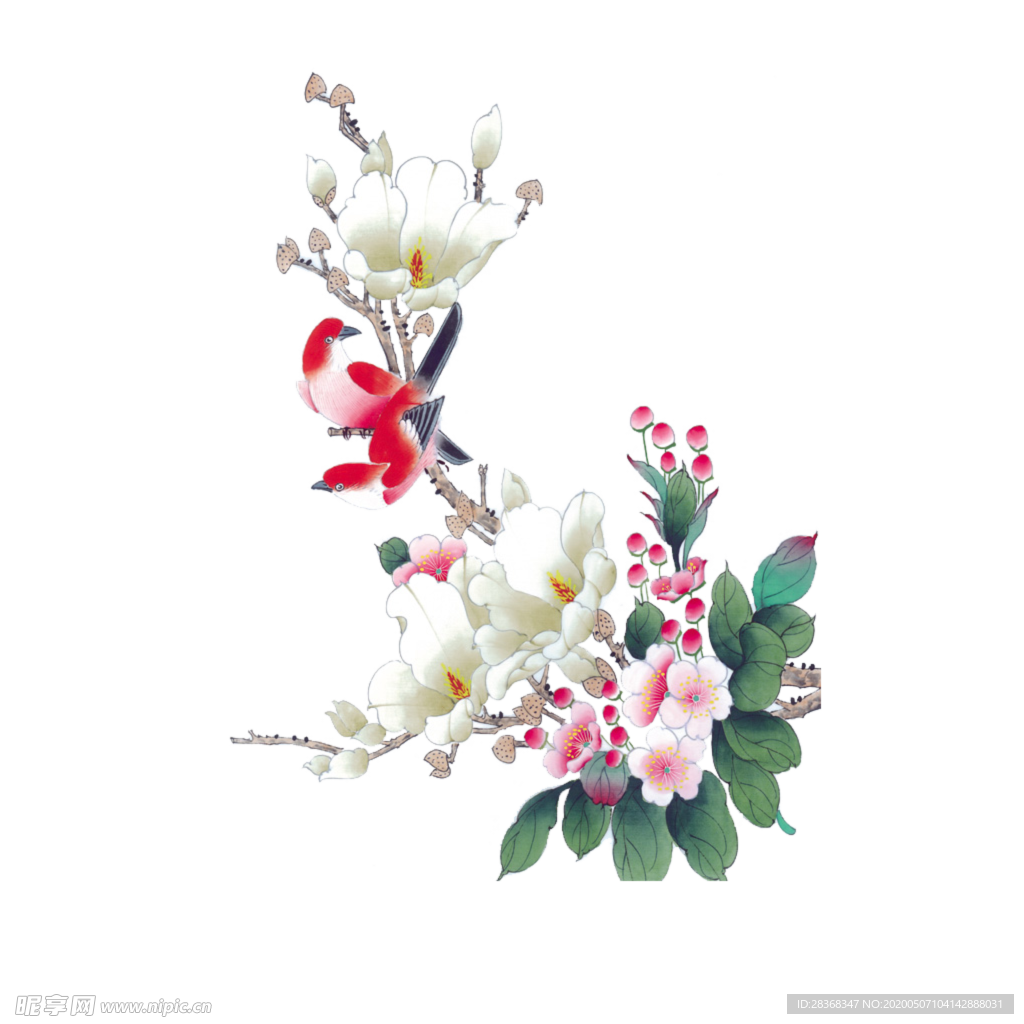 牡丹花