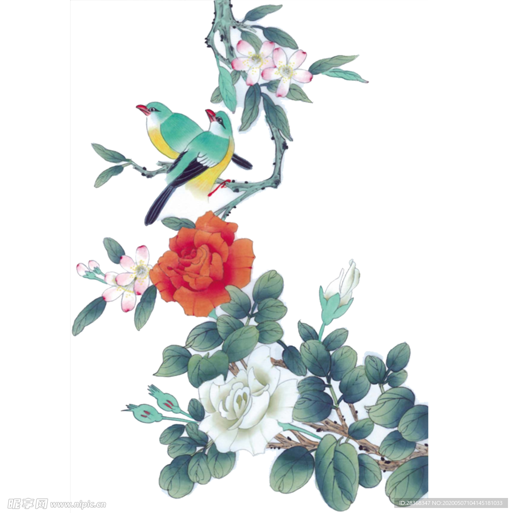 牡丹花