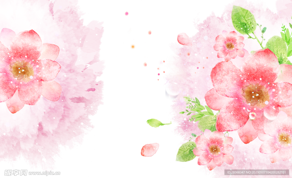 牡丹花