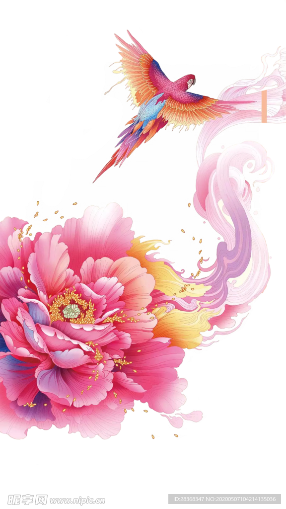 牡丹花
