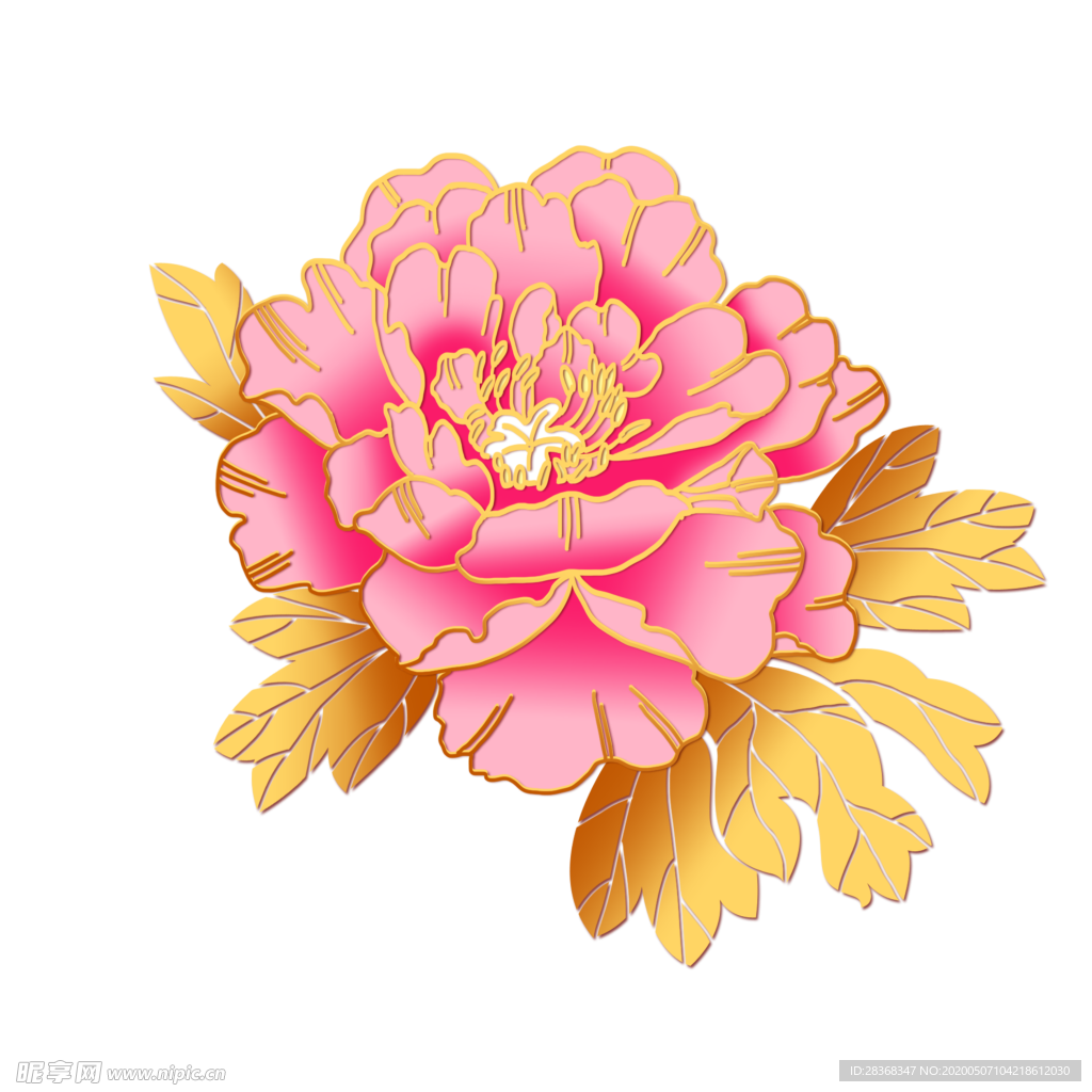 牡丹花