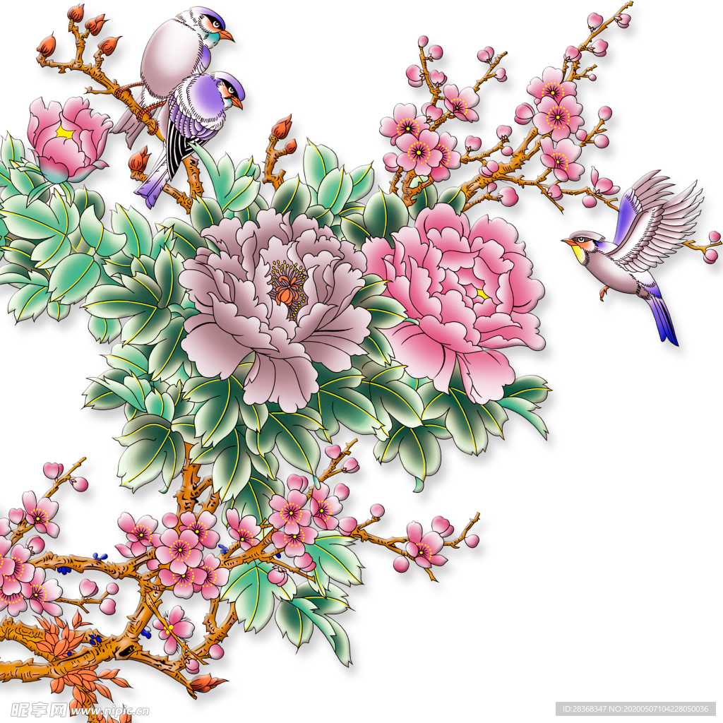 牡丹花