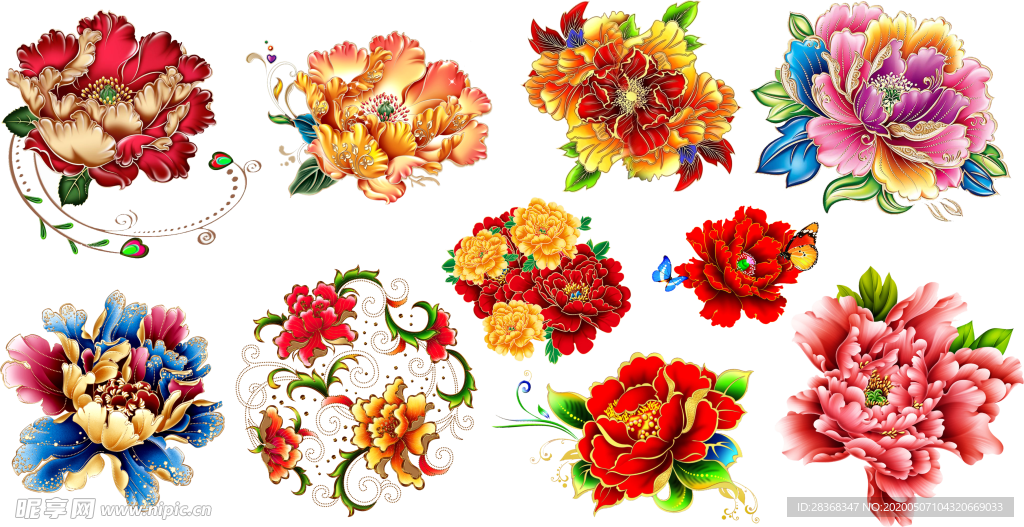 牡丹花