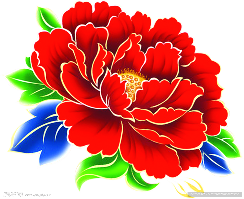 牡丹花