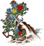 牡丹花