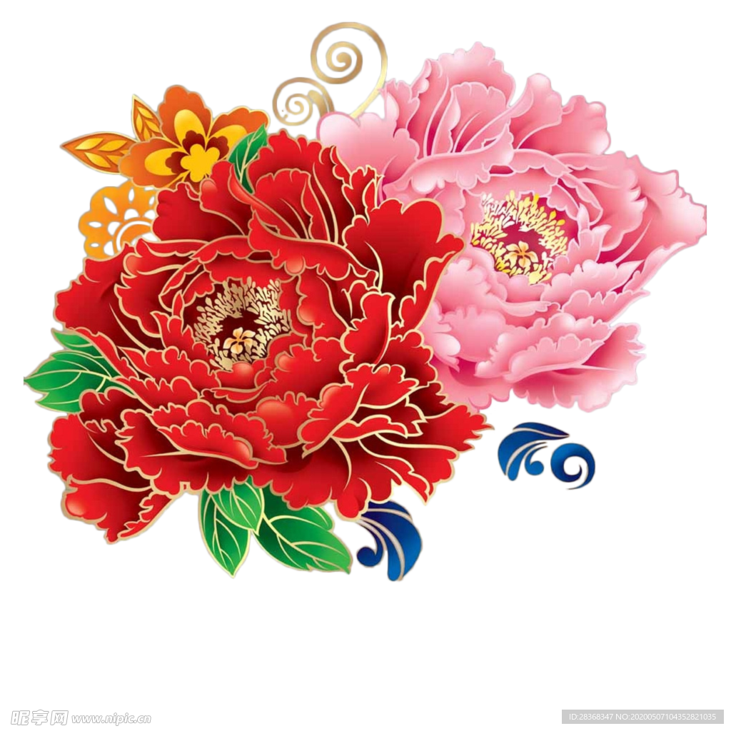 牡丹花