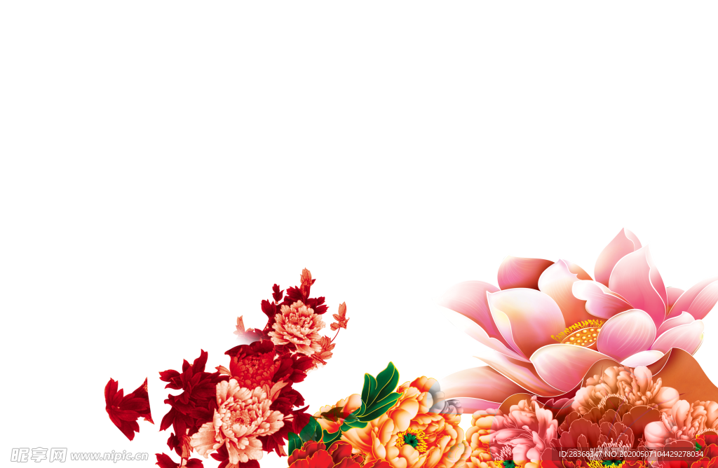 牡丹花