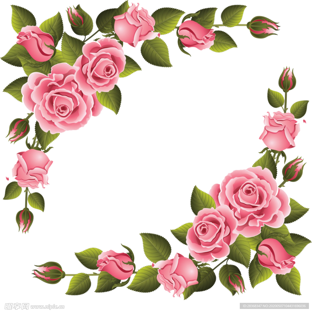 牡丹花