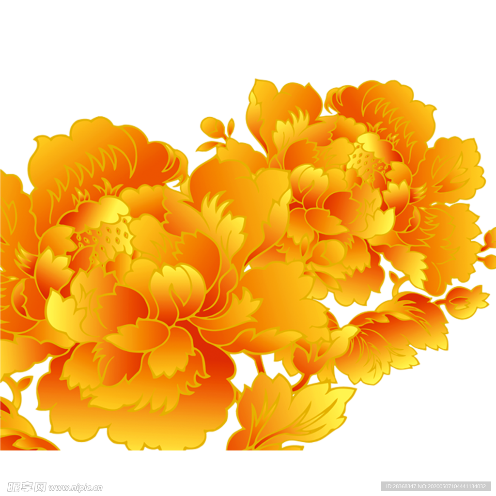 牡丹花