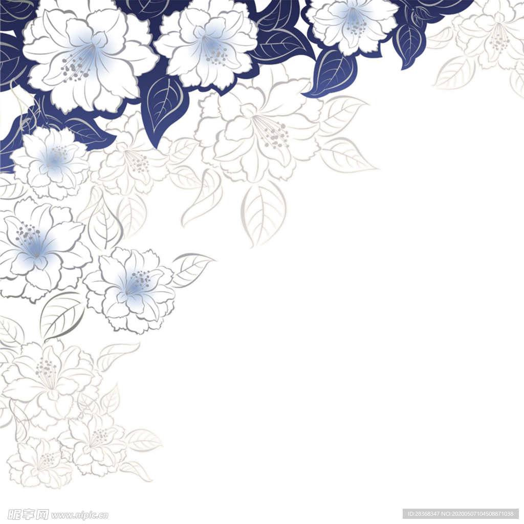 牡丹花