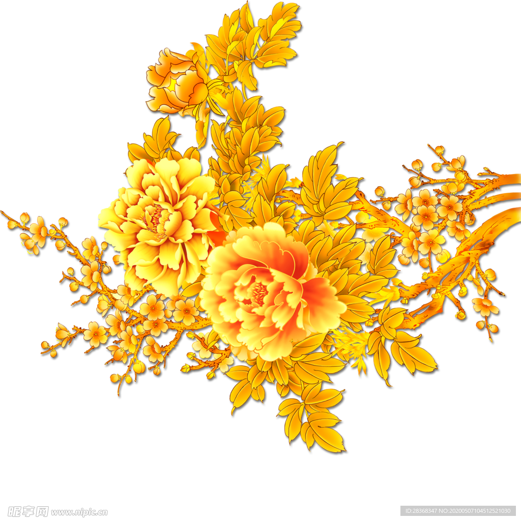 牡丹花