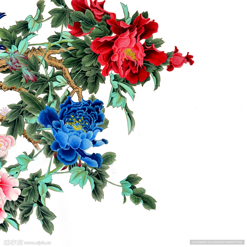牡丹花