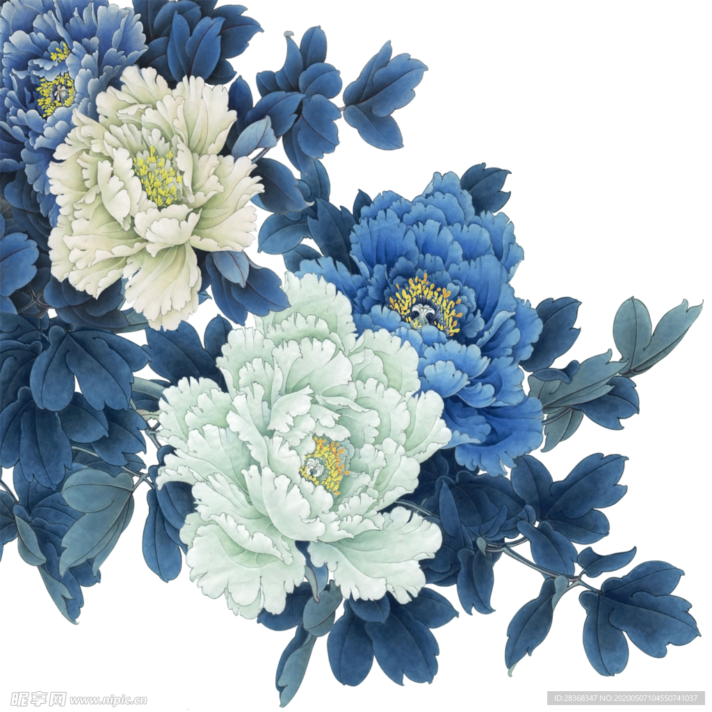 牡丹花