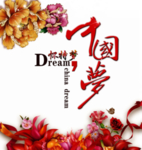 牡丹花