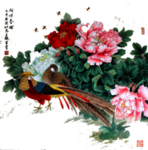 牡丹花