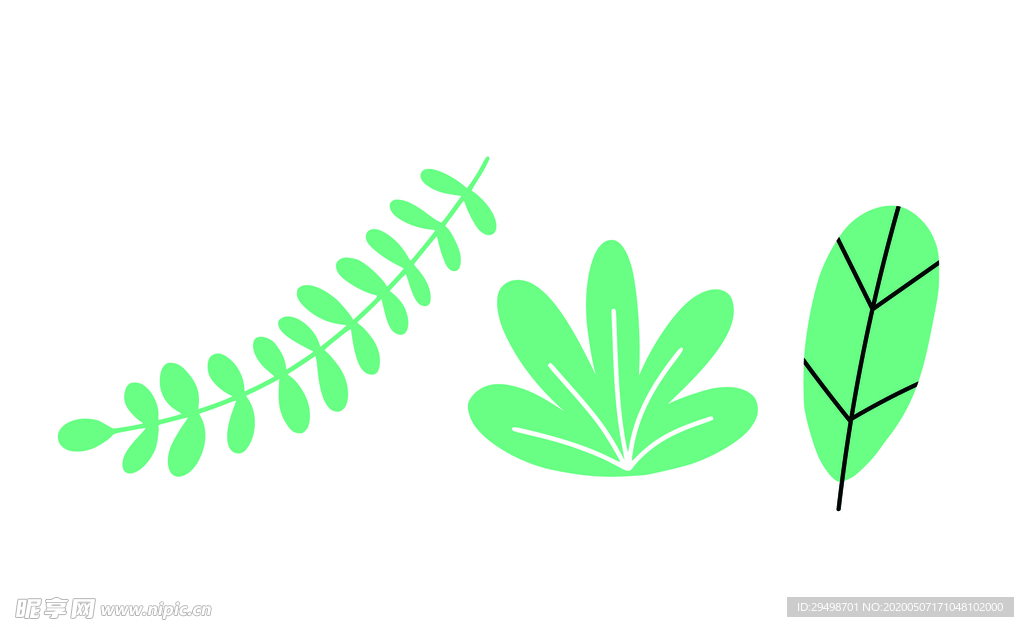 植物
