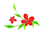 花
