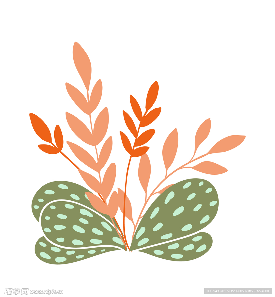 植物