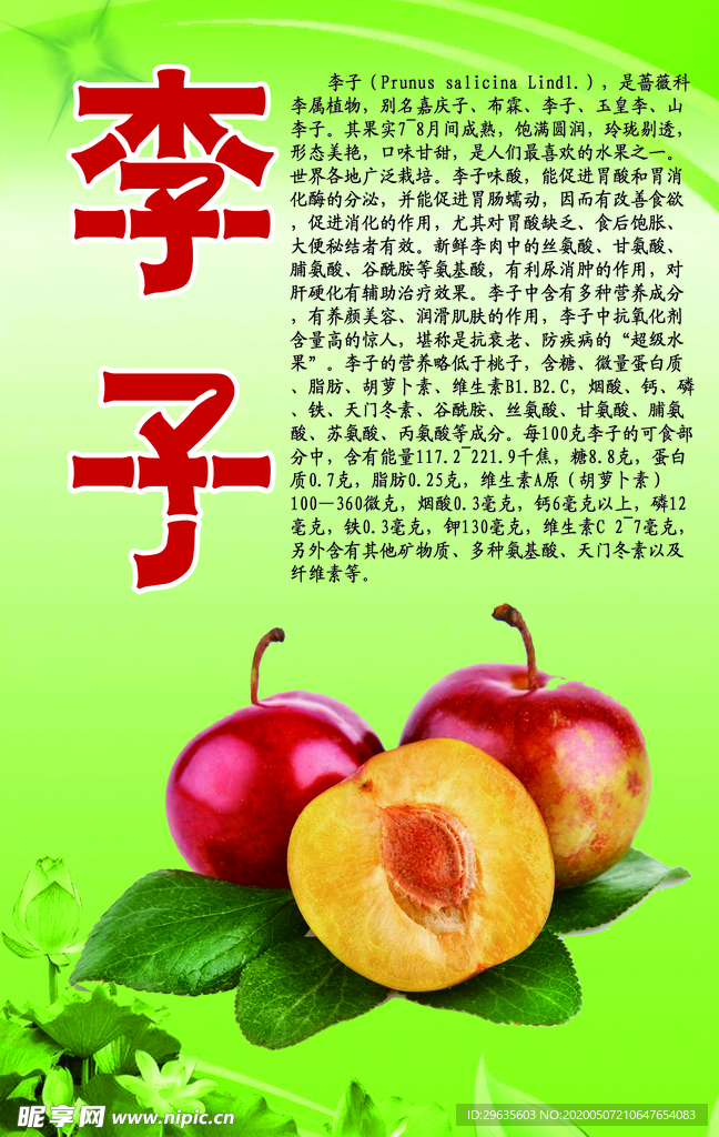 水果文化系列之李子