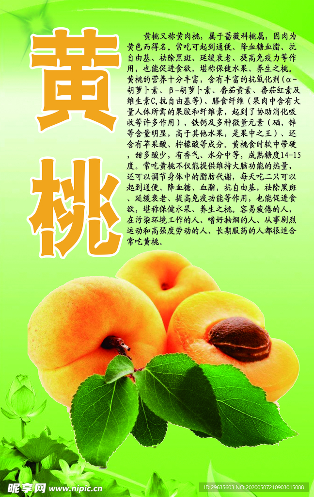 水果文化系列之黄桃