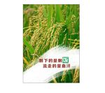 食堂文化