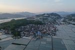 南国葡萄之乡象环村