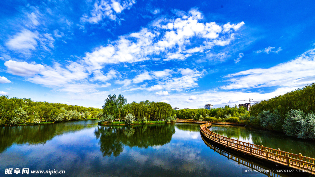 湿地风景