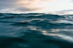 海