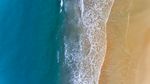 海