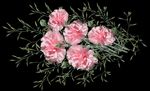 鲜花
