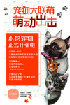 宠物