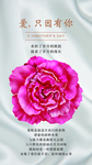 母亲节快乐