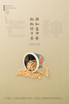 芒种节气粮食褐色简约海报