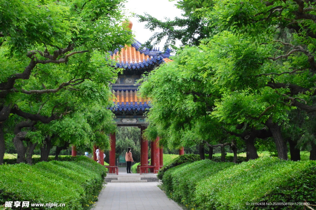 园林美景