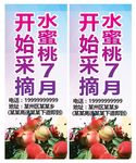 水蜜桃灯杆旗帜