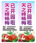 杨梅灯杆旗帜