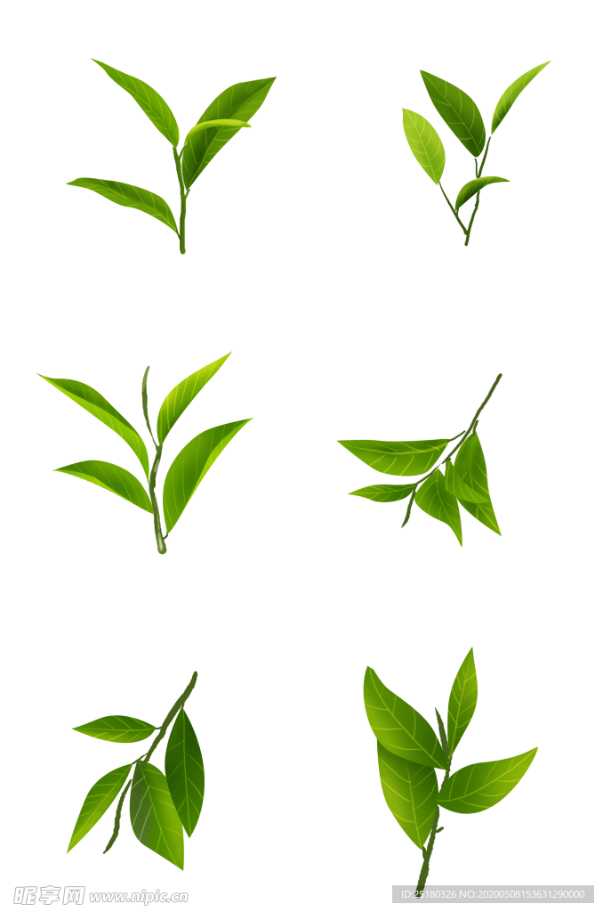 叶子素材
