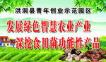 示范园区   食用菌