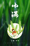 小满