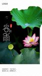 谷雨海报