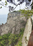 山