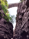 山