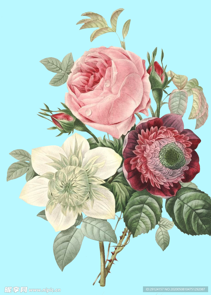 手绘花