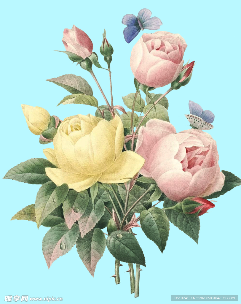 手绘花